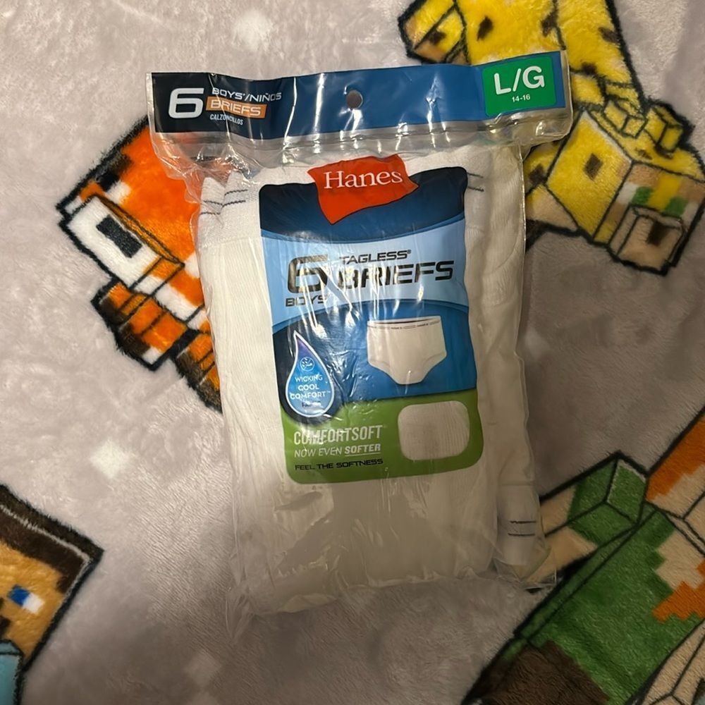 Hanes Boys' Tagless Briefs 6-Pack - White